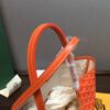 Goyard Saint Louis PM Tote Bag