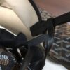 Goyard Saint Louis PM Tote Bag