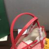 Goyard Saint Louis PM Tote Bag