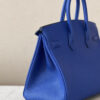 Hermes Birkin 25