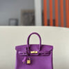 Hermes Birkin 25