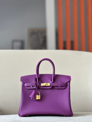 Hermes Birkin 25