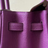 Hermes Birkin 25