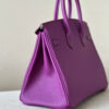 Hermes Birkin 25