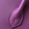 Hermes Birkin 25
