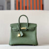 Hermes Birkin 25