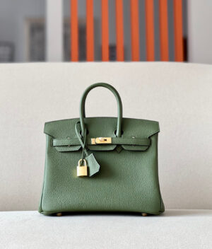 Hermes Birkin 25