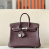 Hermes Birkin 25