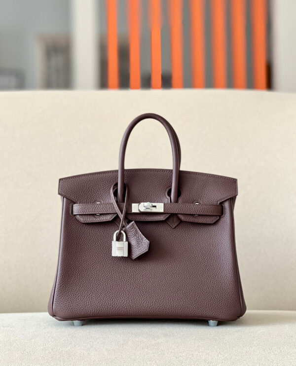 Hermes Birkin 25