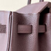 Hermes Birkin 25