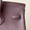 Hermes Birkin 25