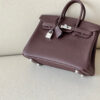Hermes Birkin 25