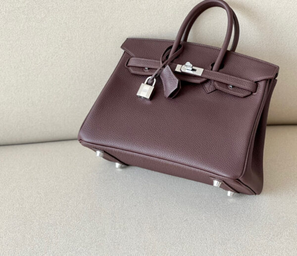 Hermes Birkin 25