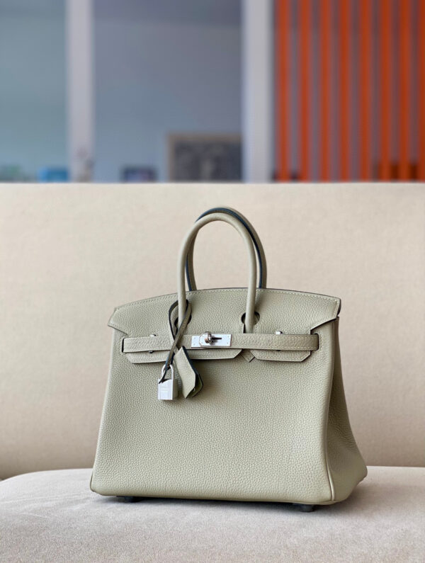 Hermes Birkin 25
