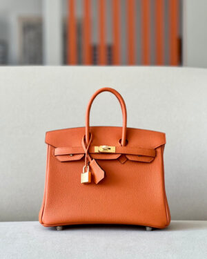 Hermes Birkin 25