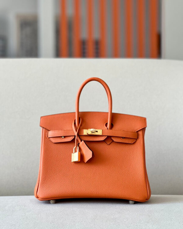 Hermes Birkin 25