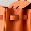 Hermes Birkin 25
