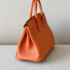 Hermes Birkin 25