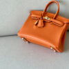 Hermes Birkin 25