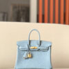 Hermes Birkin 25