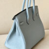 Hermes Birkin 25