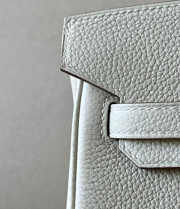 Hermes Birkin 25