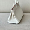 Hermes Birkin 25
