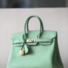 Hermes Birkin 25
