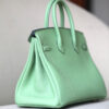 Hermes Birkin 25