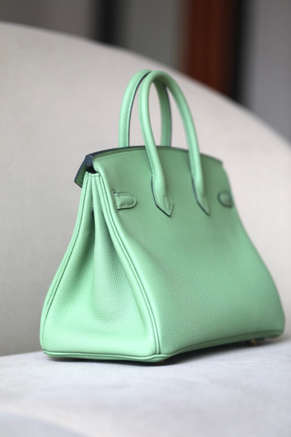 Hermes Birkin 25