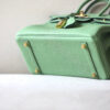 Hermes Birkin 25