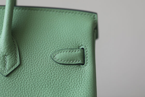 Hermes Birkin 25