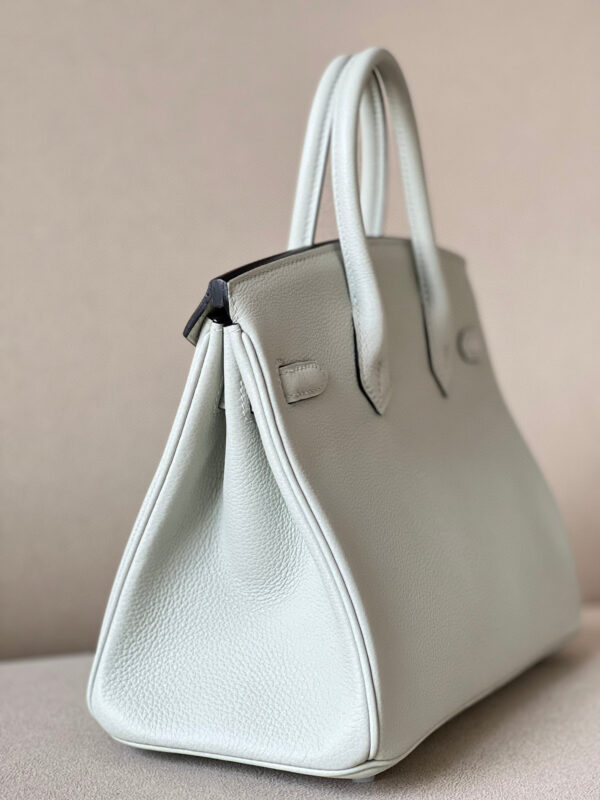 Hermes Birkin 25