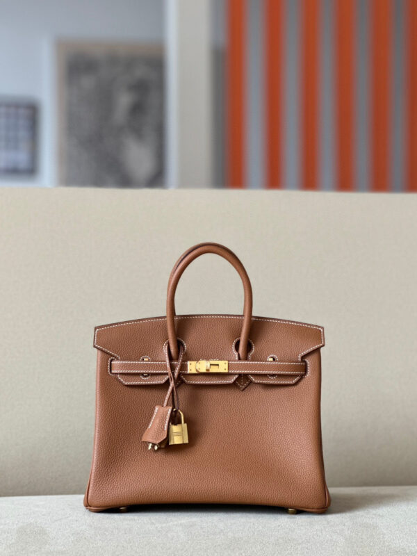 Hermes Birkin 25