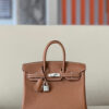 Hermes Birkin 25