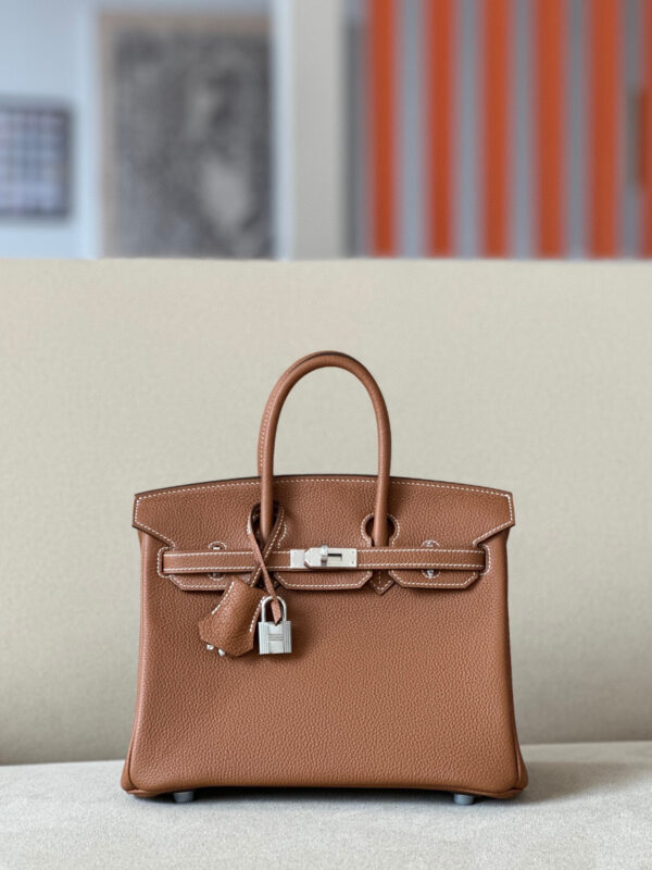 Hermes Birkin 25