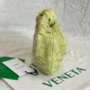 Bottega Veneta Mini Jodie