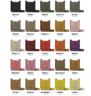 Hermes Evelyne TPM