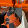 Hermes Evelyne TPM