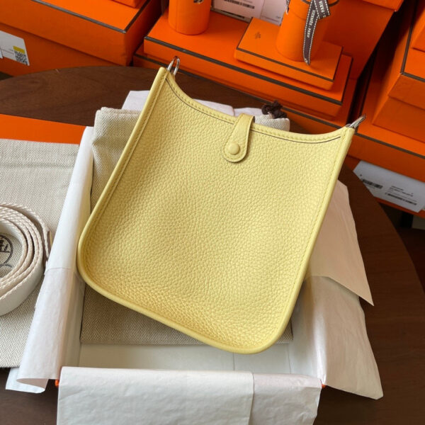 Hermes Evelyne TPM