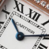 Cartier Watches