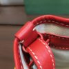 Goyard Petit Flot