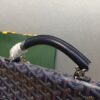 Goyard Backpack