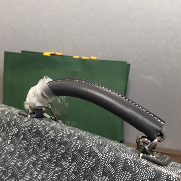 Goyard Backpack