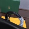 Goyard Alpin Mini Backpack