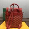 Goyard Alpin Mini Backpack