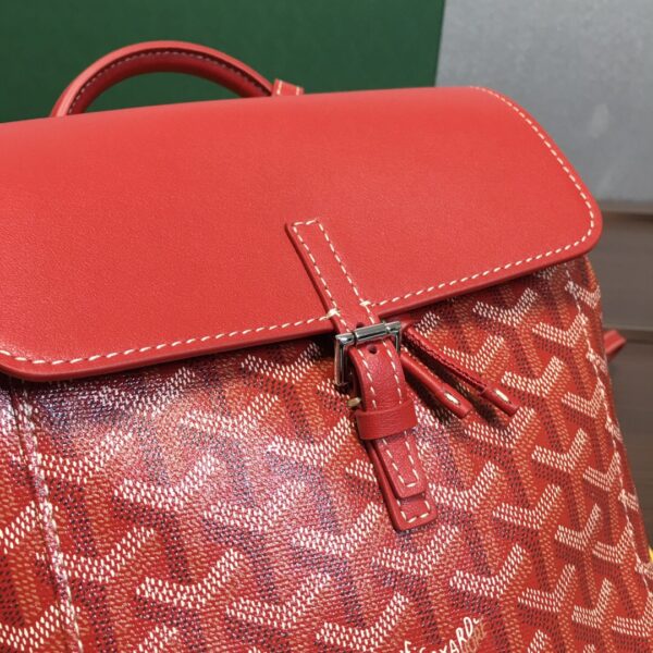 Goyard Alpin Mini Backpack