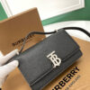 Burberry Robin