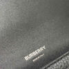 Burberry Robin