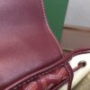 Goyard Alpin Mini Backpack